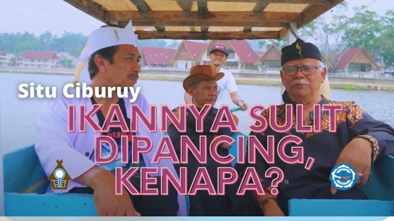 Wajah Baru Situ Ciburuy?