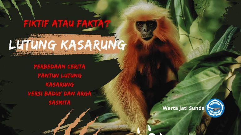 Perbedaan cerita Pantun Lutung Kasarung versi Baduy dan Arga Sasmita